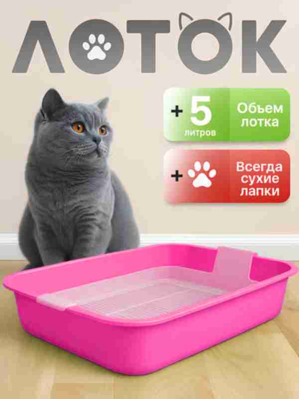 Erini aldagan rus porno Beldibida jinsiy turizm