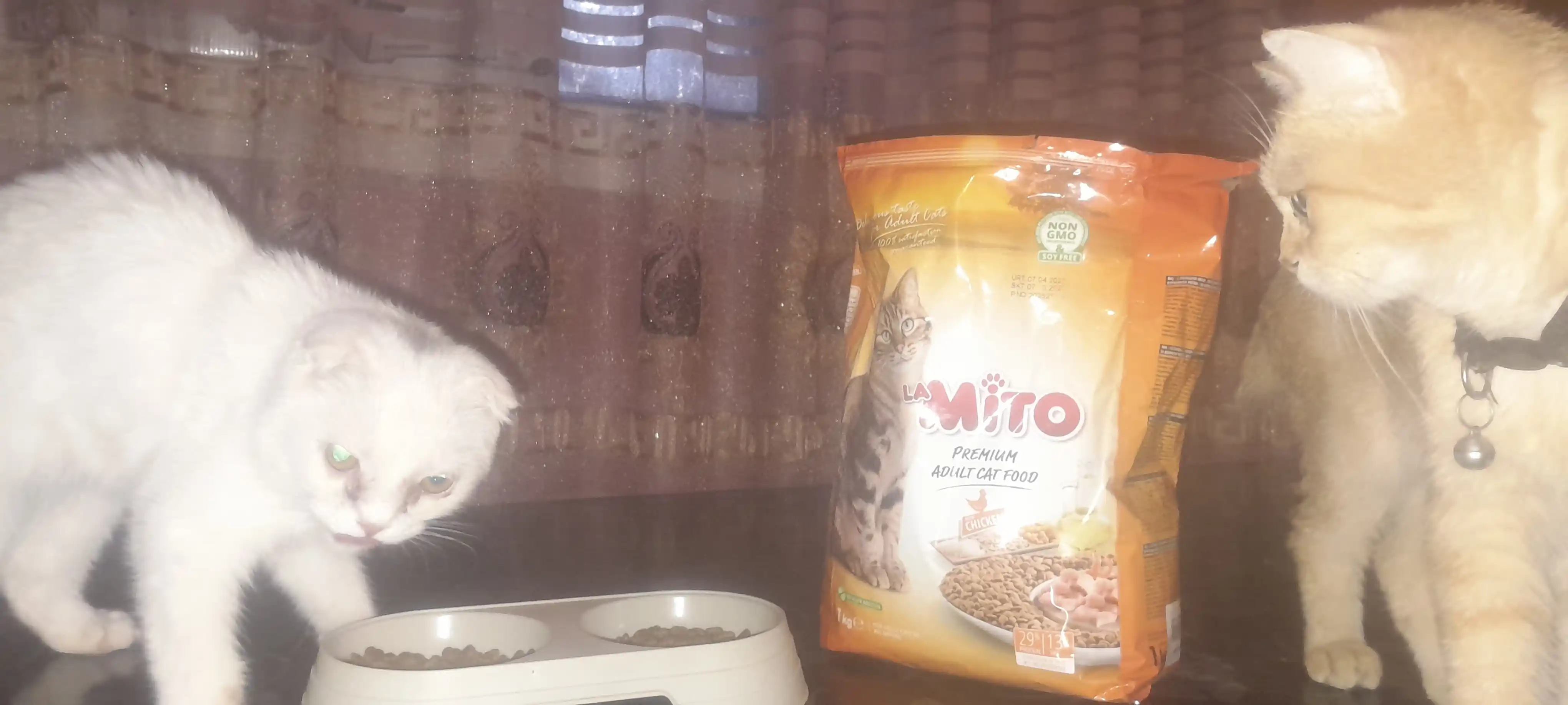 Mito mushuklar uchun quruq yem, tovuq go‘shti bilan, 1 kg