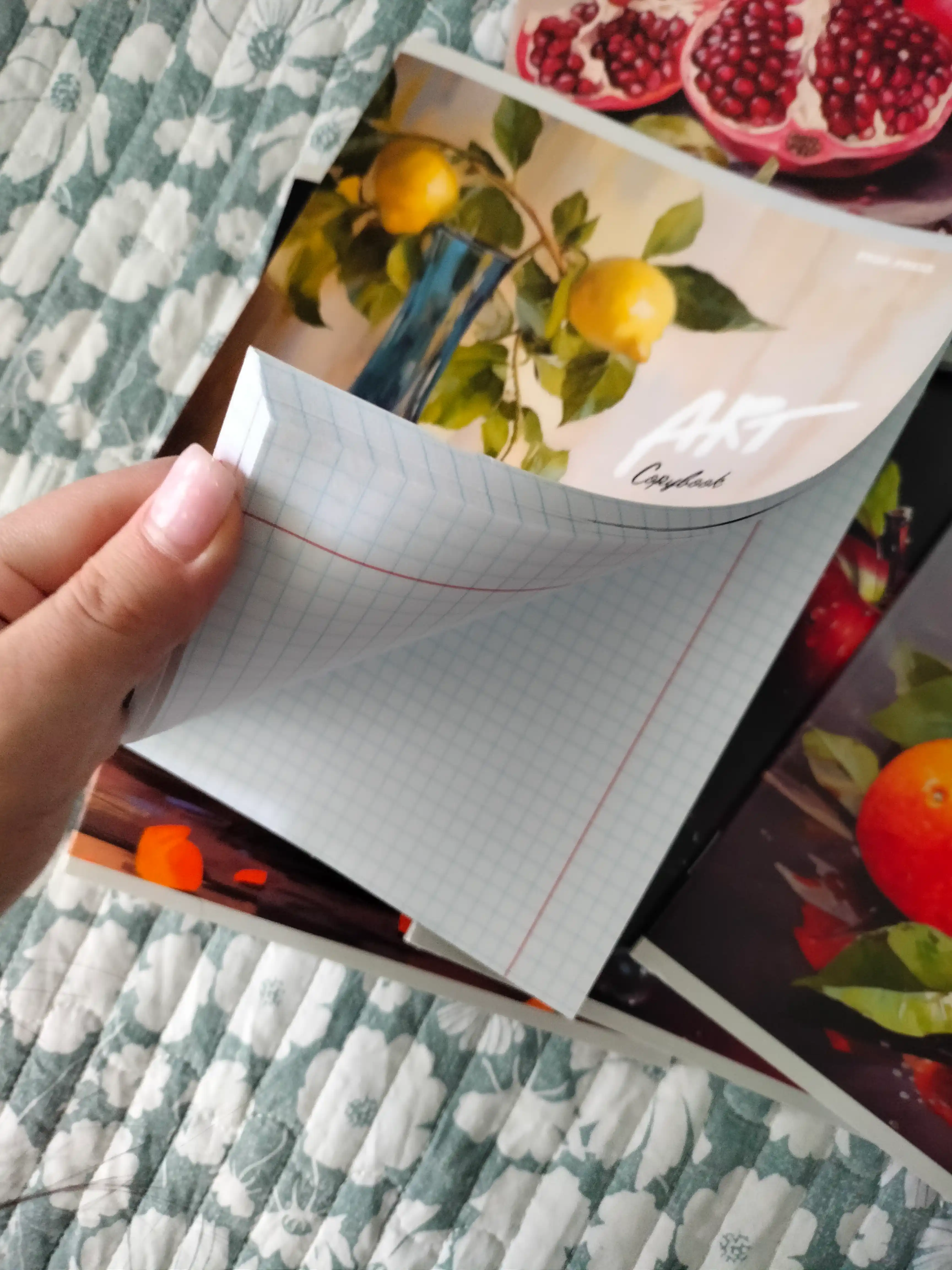 A5 daftar to‘plami, 48 varaqlik, 5 dona, katakchali, maktab va talaba uchun, Rossiyada