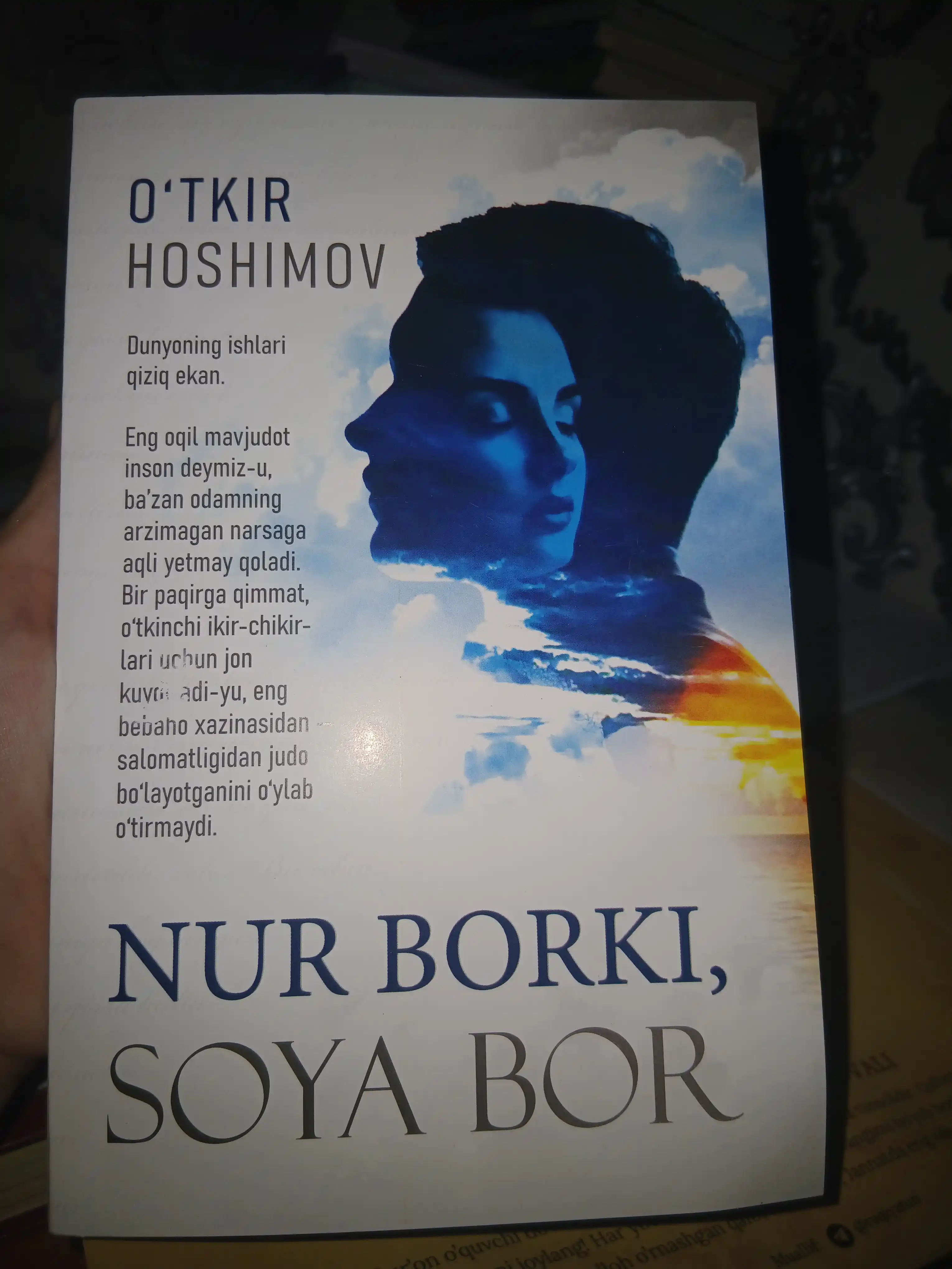 Нур борки, соyа бор