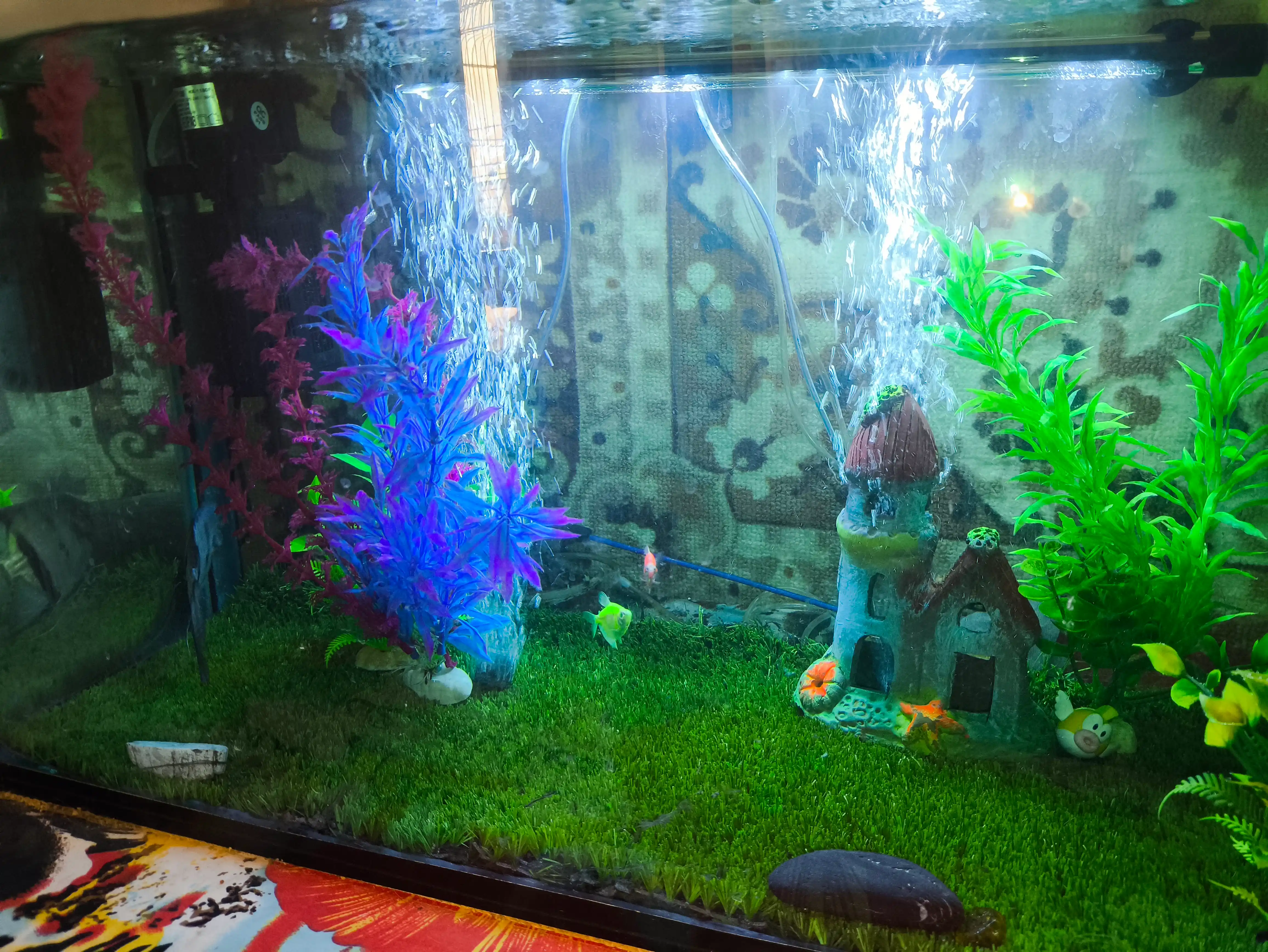 LED akvarium chirog'i, rangli o'tkazgichli chiroq, 20-100 sm, moviy, qizil, oq