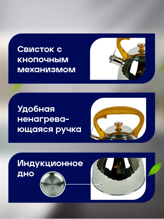 Чайник из нержавеющей стали Vicalina
