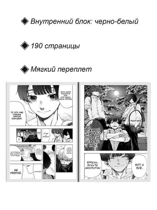 Manga, “Jozibali gul iftixor bilan ochiladi”, 3-jild, MIKAMI Saka