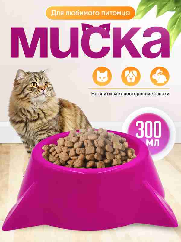 Chiroyli jinsiy aloqa videolarini ommaviy ravishda tomosha qiling