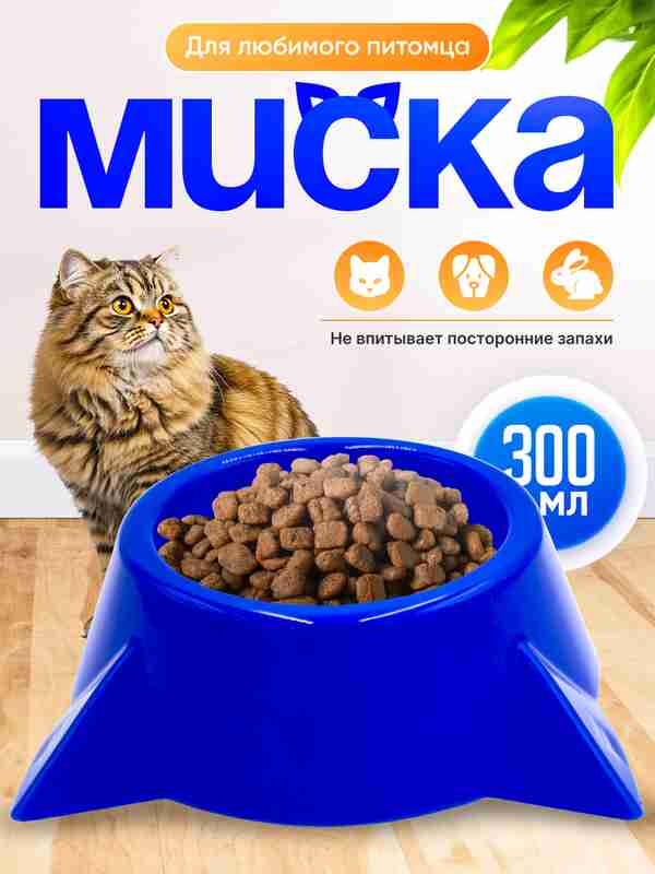 Katta transvestitlar bilan porno video