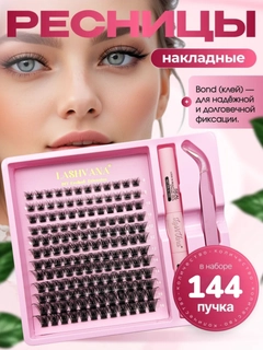 Korall