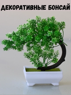 Toʻq yashil