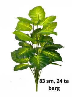Feruza 