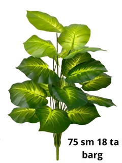 Yashil xaki