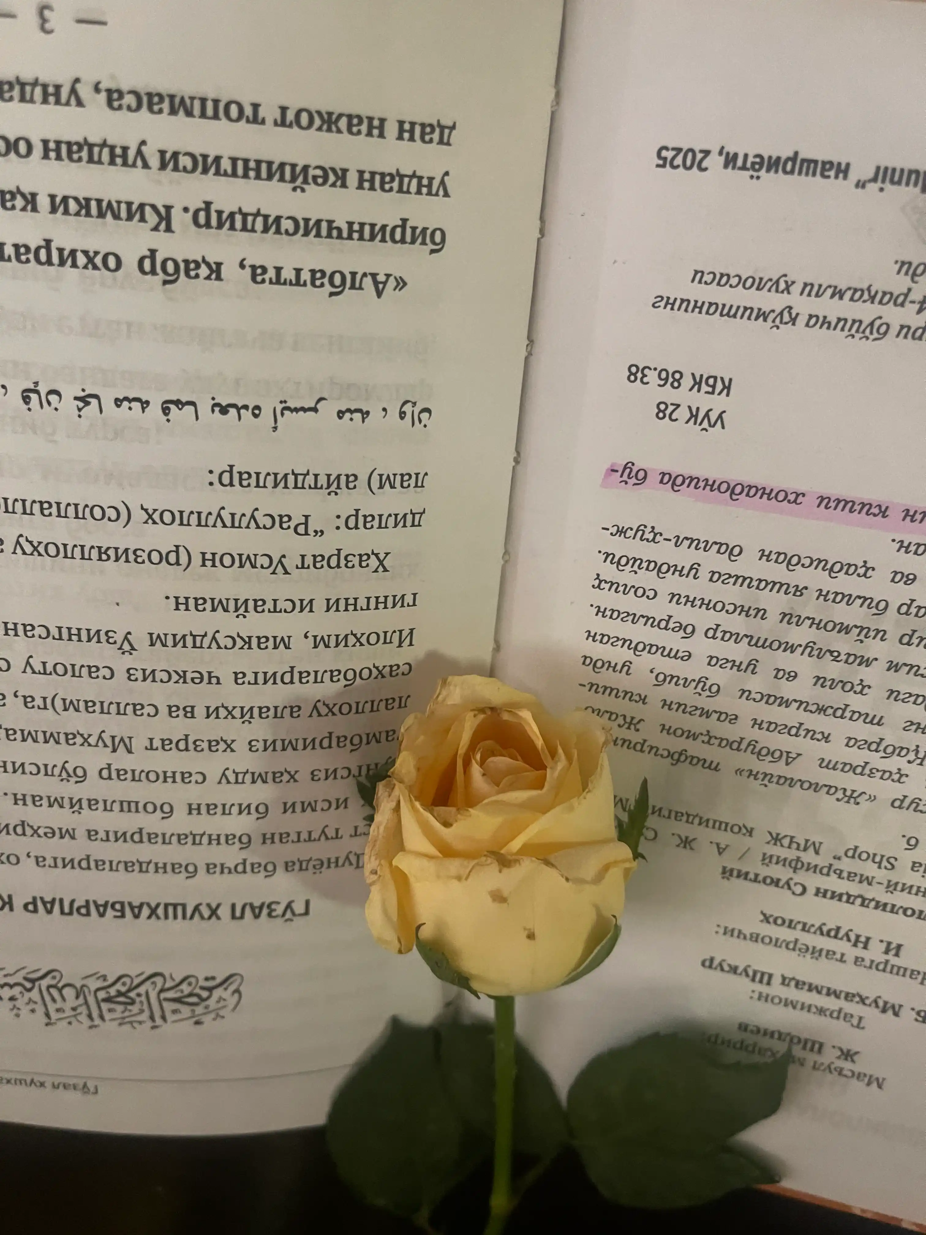 Барзах Хаети, Абдурахмон Джалолиддин Суютий