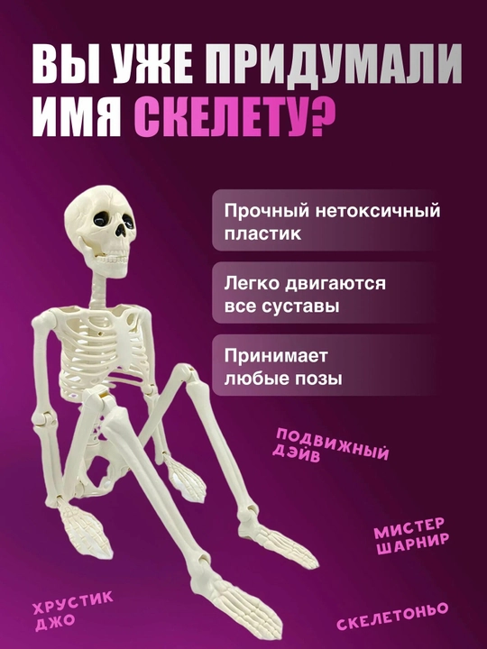 Harakatlanuvchi plastik inson skeleti, osma. O‘lchami 40 sm