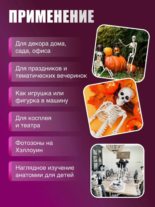 Harakatlanuvchi plastik inson skeleti, osma. O‘lchami 40 sm