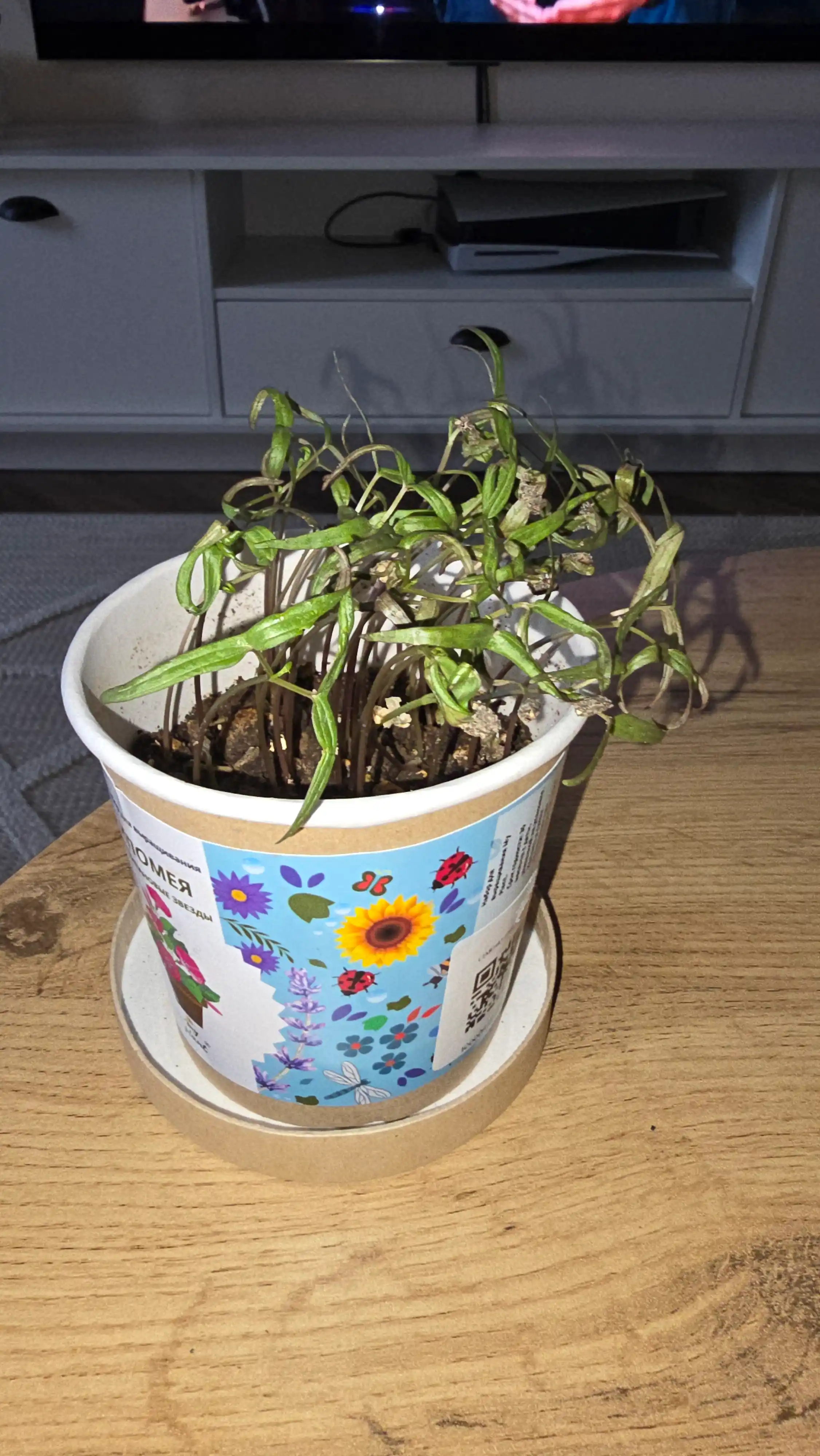 Набор для выращивания растений Happy Plants-Вырасти сам цветы