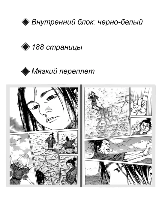 Manga Brodiaga, 16 tom