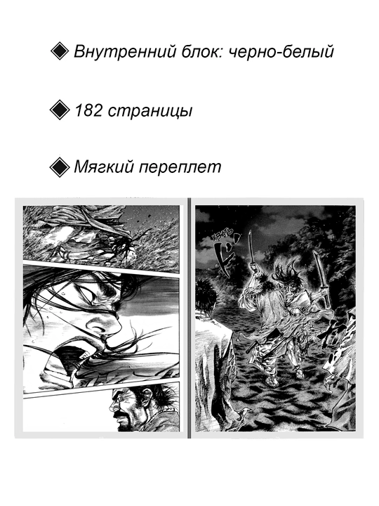 Манга Бродяга, 17 том