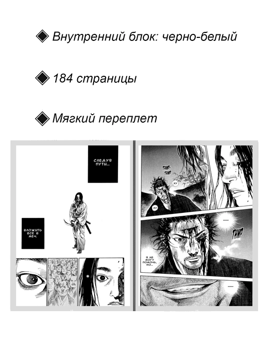 Манга Бродяга, 22 том