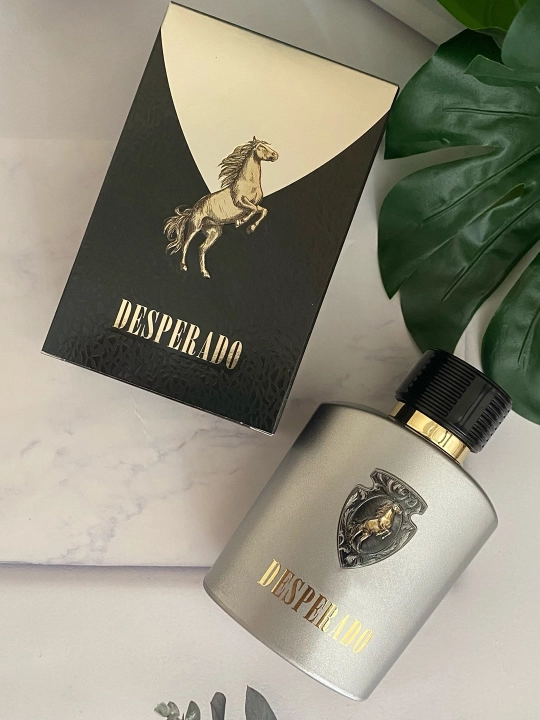Парфюмерная вода для мужчин «Desperado», 100 мл Made in France - 