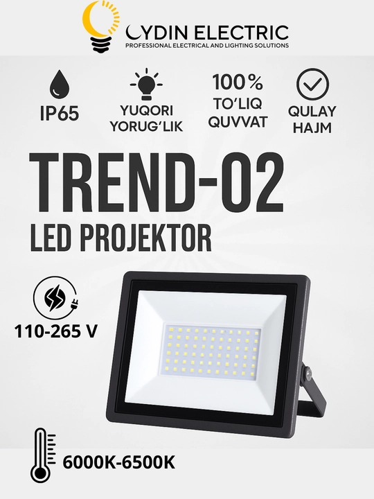 LED, Projektor, OYDIN ELECTRIC, 10W–200W, IP65, 110-250Vgacha, yorug‘lik energiya tejamkor