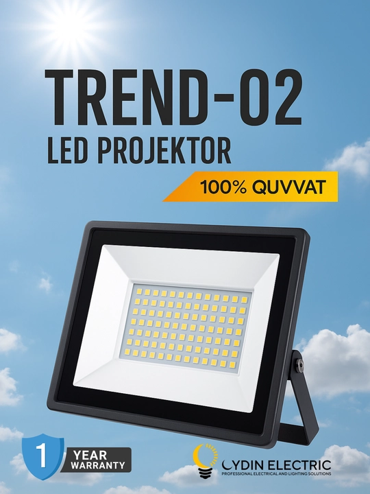 LED, Прожектор, OYDIN ELECTRIC, 10W–200V, IP65, 110-250V яркость, энергоэффективный - 