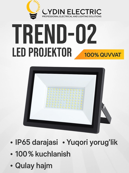 LED, Projektor, OYDIN ELECTRIC, 10W–200W, IP65, 110-250Vgacha, yorug‘lik energiya tejamkor