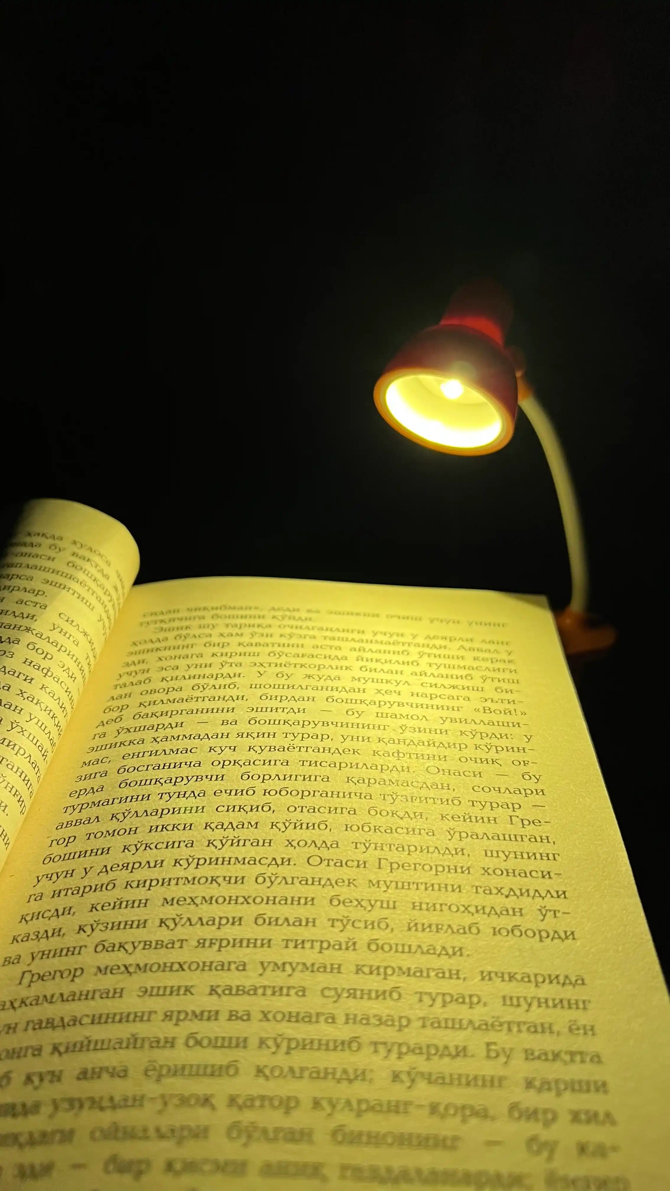 Kitob o‘qish uchun yorug‘lik diodli lampa, stol ustida, qisqichda