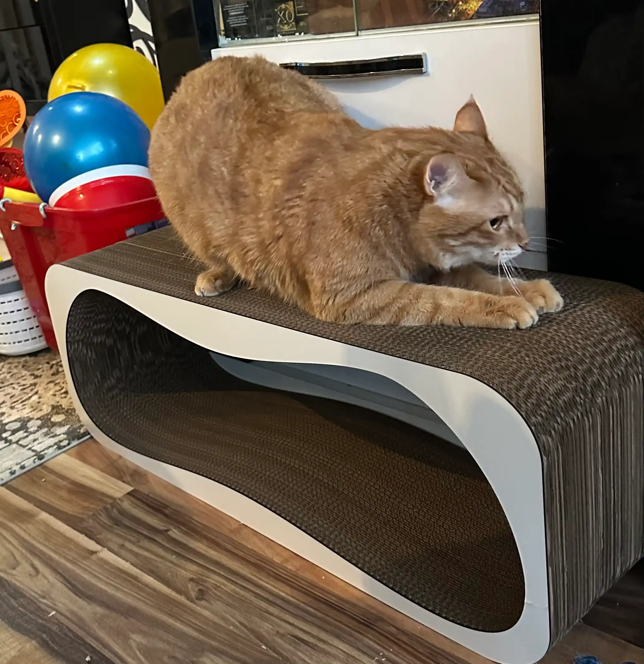 Когтеточка картонная Sun KinderCat, для кошек и котят
