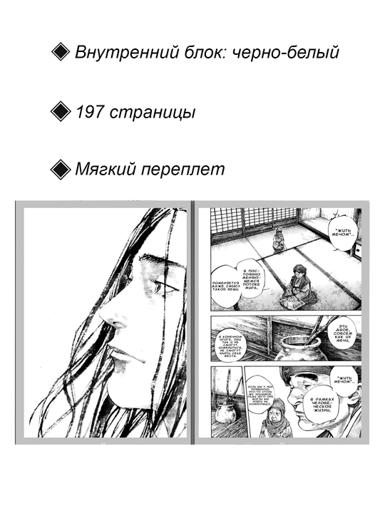 Манга Бродяга, 29 том