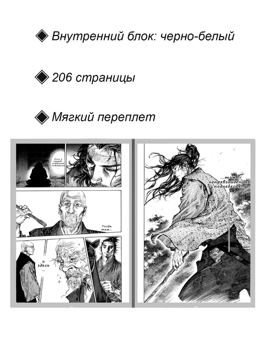 Манга Бродяга, 30 том