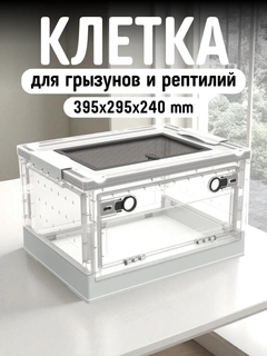 Белый