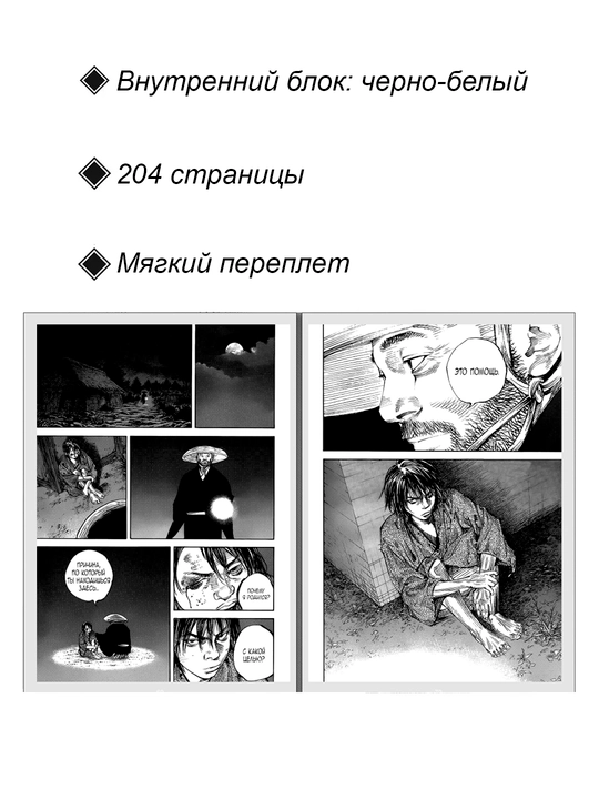 Манга Бродяга, 37 том