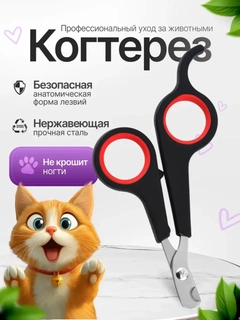 Голубой
