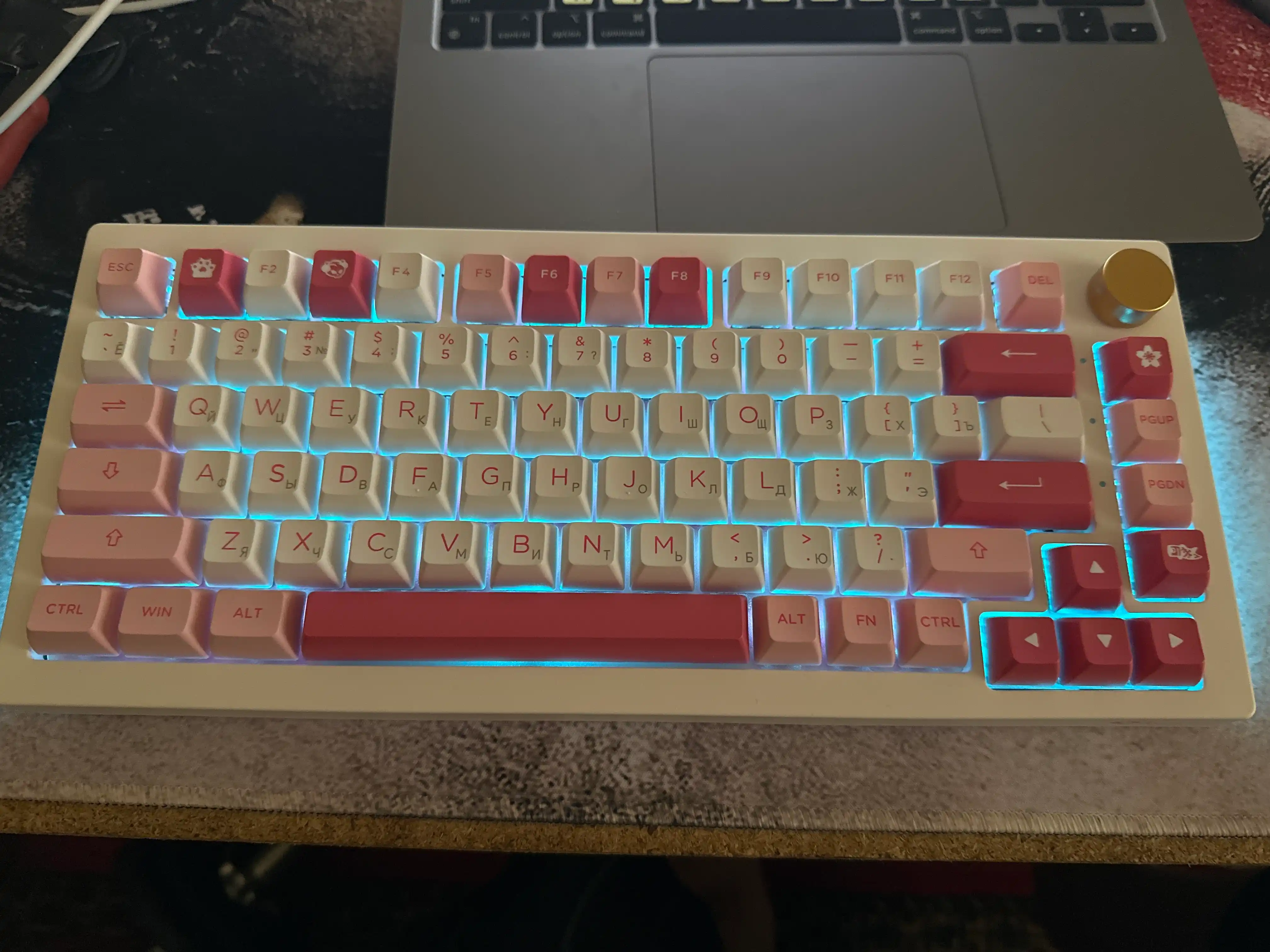 Akko 5075B Plus Prunus Lannesiana CS Silver RGB o‘yin mexanik klaviaturasi, WL