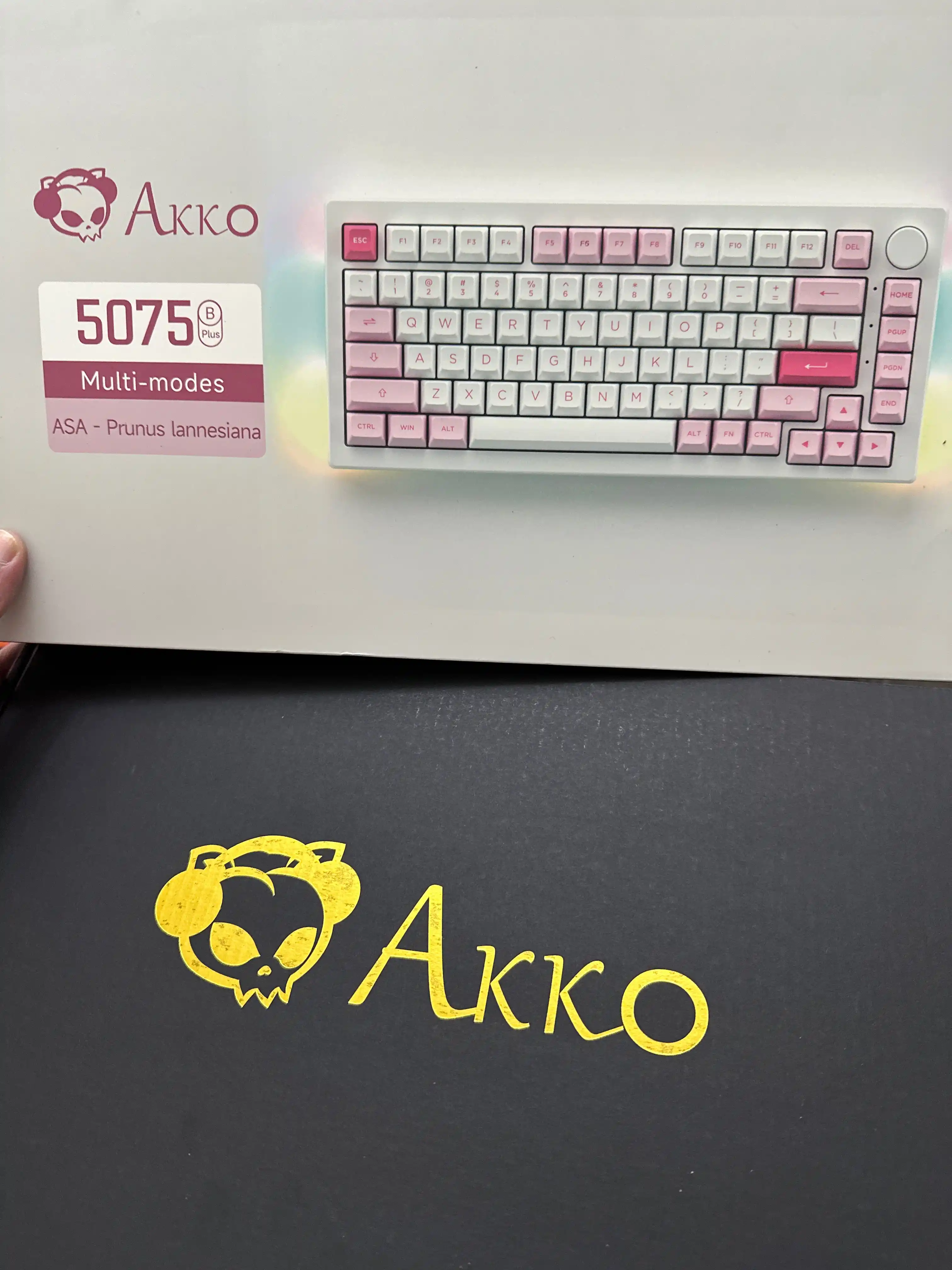 Akko 5075B Plus Prunus Lannesiana CS Silver RGB o‘yin mexanik klaviaturasi, WL