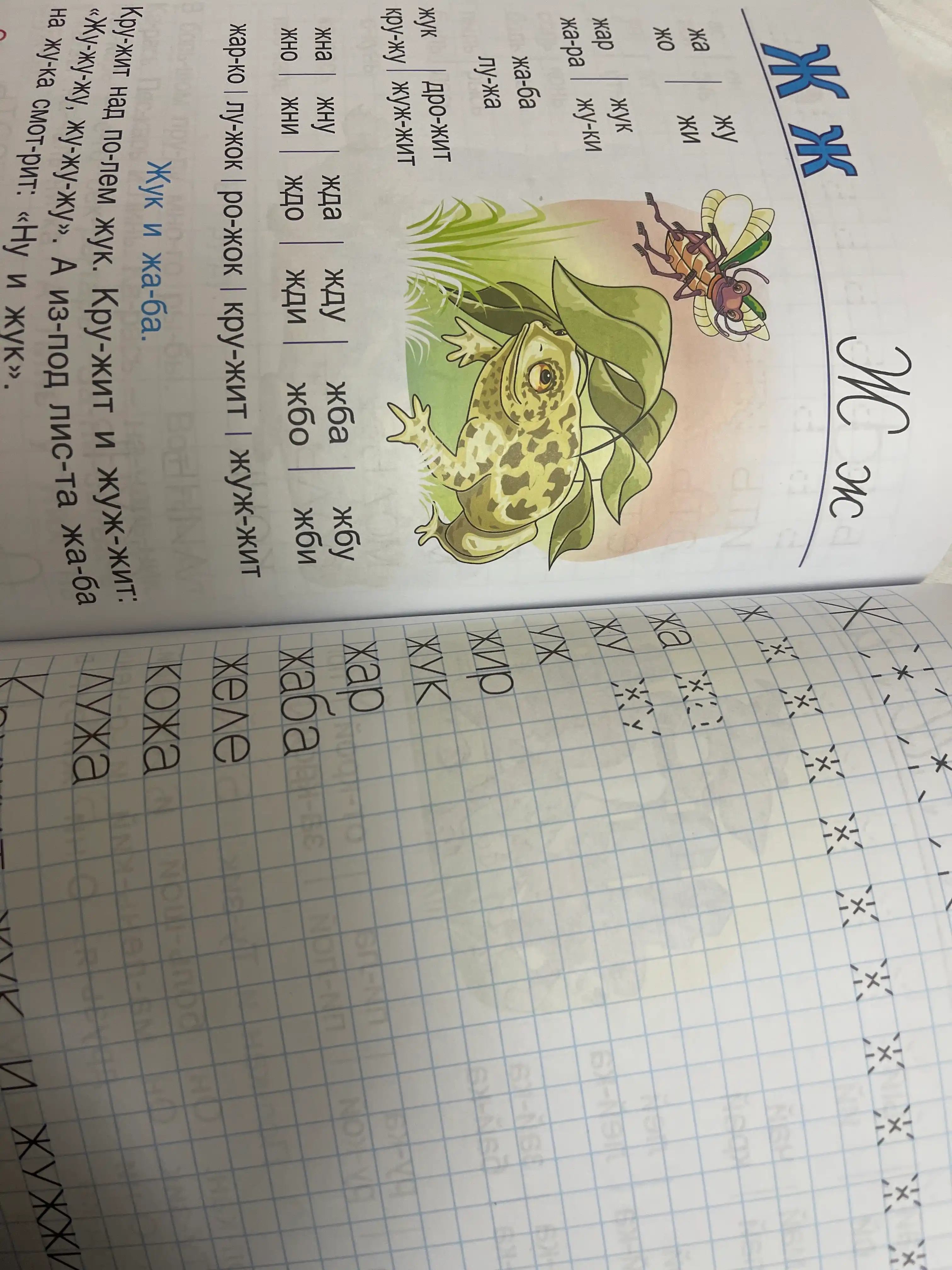 Алфавит для малышей + пропись Буквар Пронин
