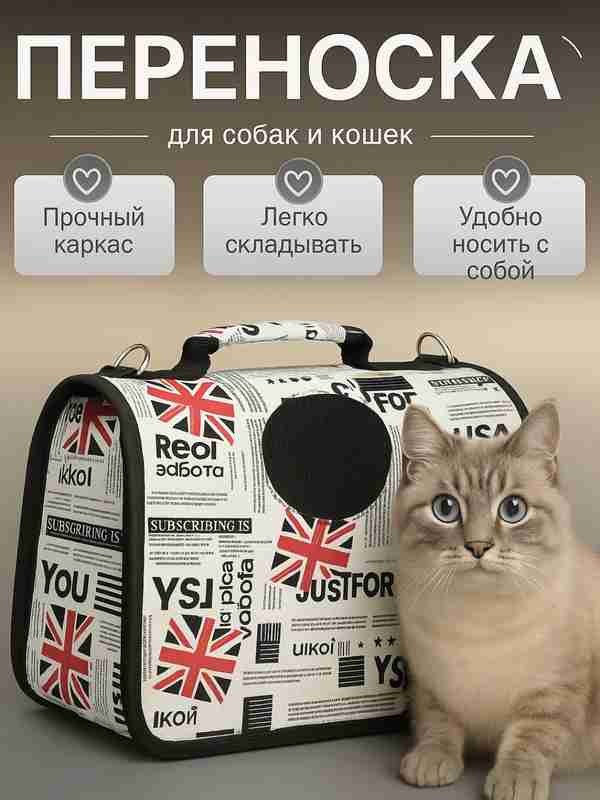 Soqollangan mushukni sikish