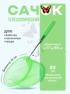 Зеленый