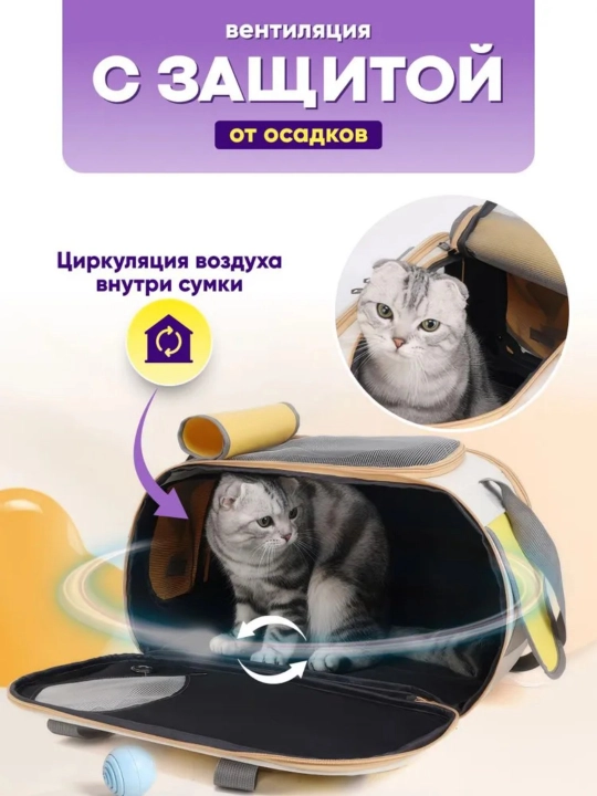 Сумка для домашних животных, сумка для кошек, открытая переносная сумка, автомобильная сумка, сумка через плечо для собак