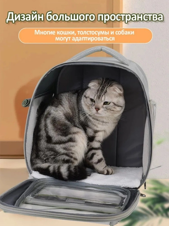 Кошачьи сумки - переноски
