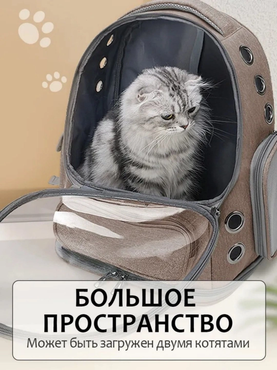 Uy hayvonlari kosmik sumka, mushuk sumka, moda katta sig'imli xalta sayohat it sumkasi