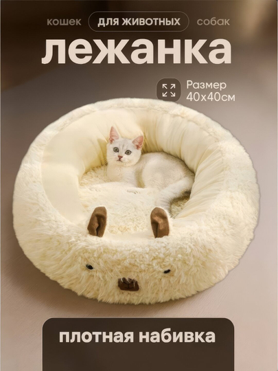 Yalangoch rus oilasi