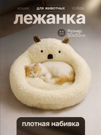 Men pul uchun mushuk yeyaman