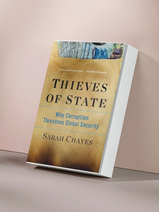 Davlat o‘g‘rilari, Sarah Chayes - 