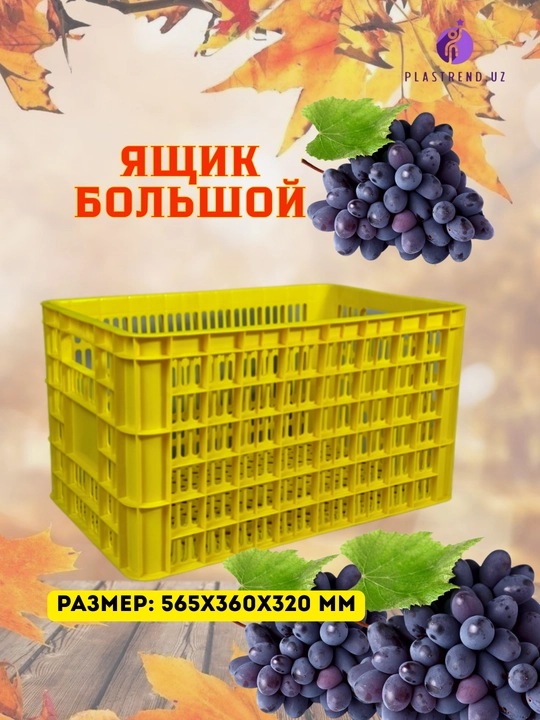 Meva va boshqa mahsulotlarni saqlash va tashish uchun plastmassa idishlar - 