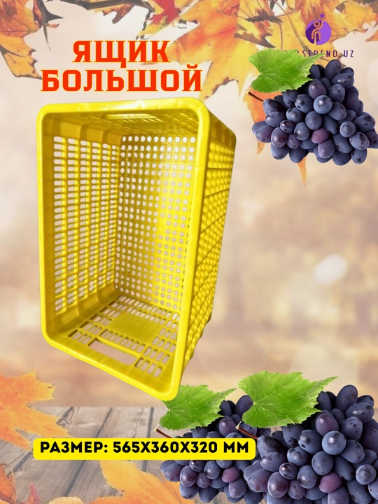 Meva va boshqa mahsulotlarni saqlash va tashish uchun plastmassa idishlar