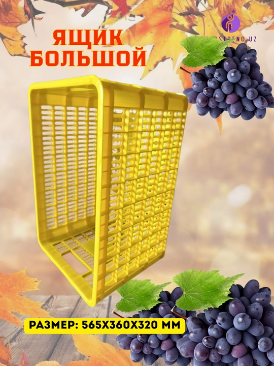 Meva va boshqa mahsulotlarni saqlash va tashish uchun plastmassa idishlar