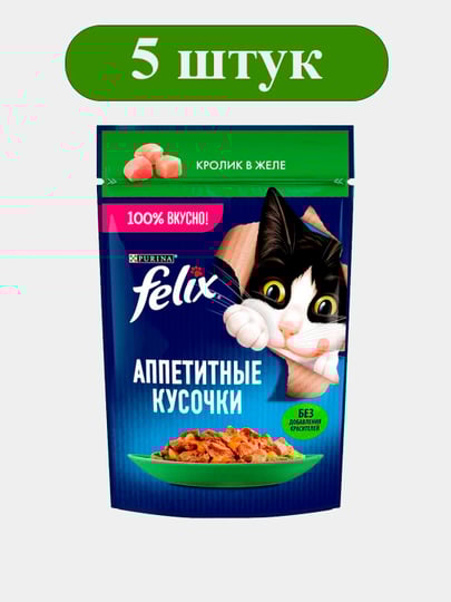 Keksa ayollar mushuklari