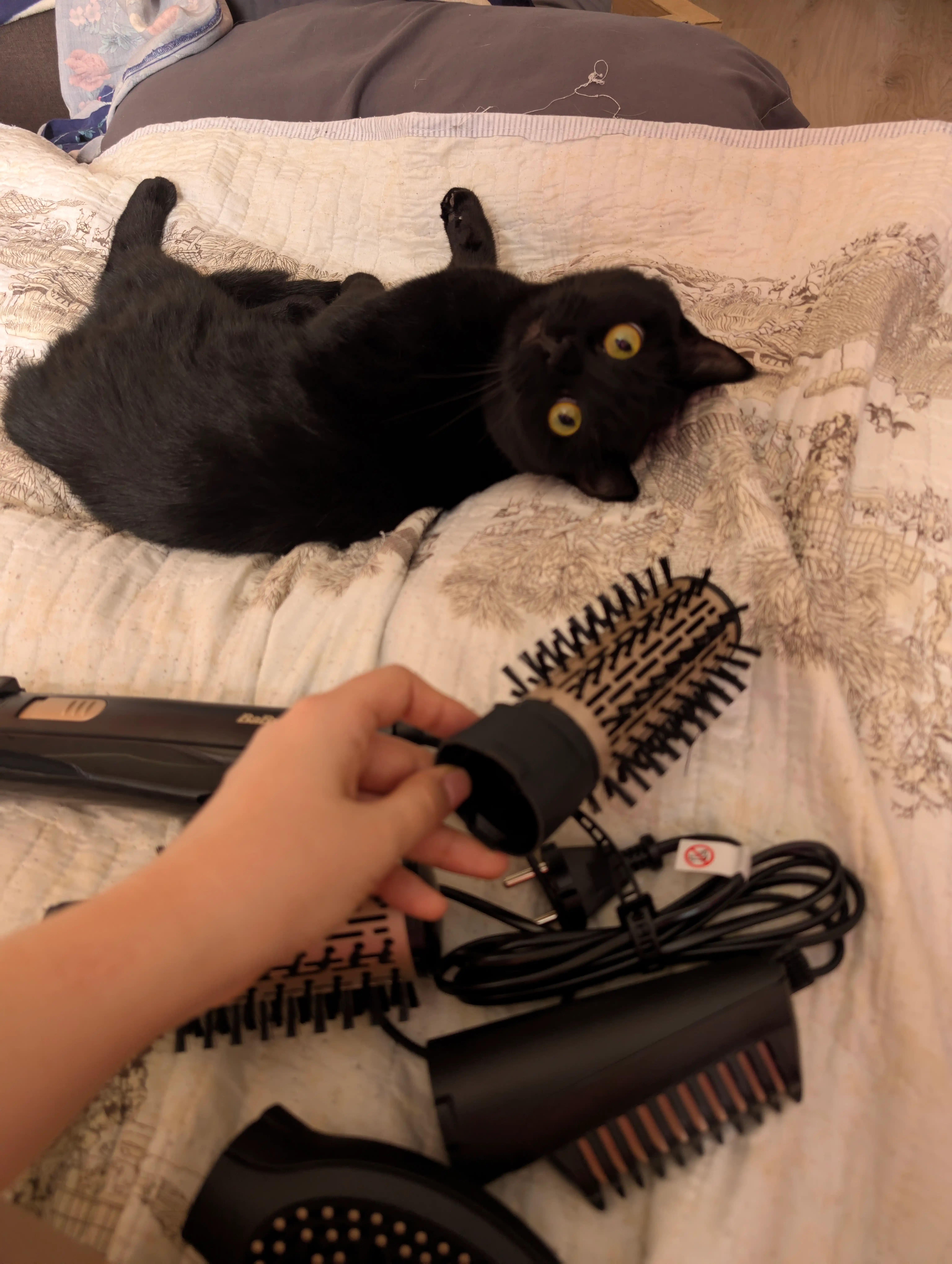 Aylanadigan shetkali fen-stayler Babyliss AS964ROE