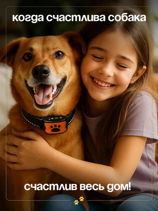 Dog yoqasi, aqlli avtomatik ogohlantirish, tebranish qobig'ini to'xtatish, it murabbiyi