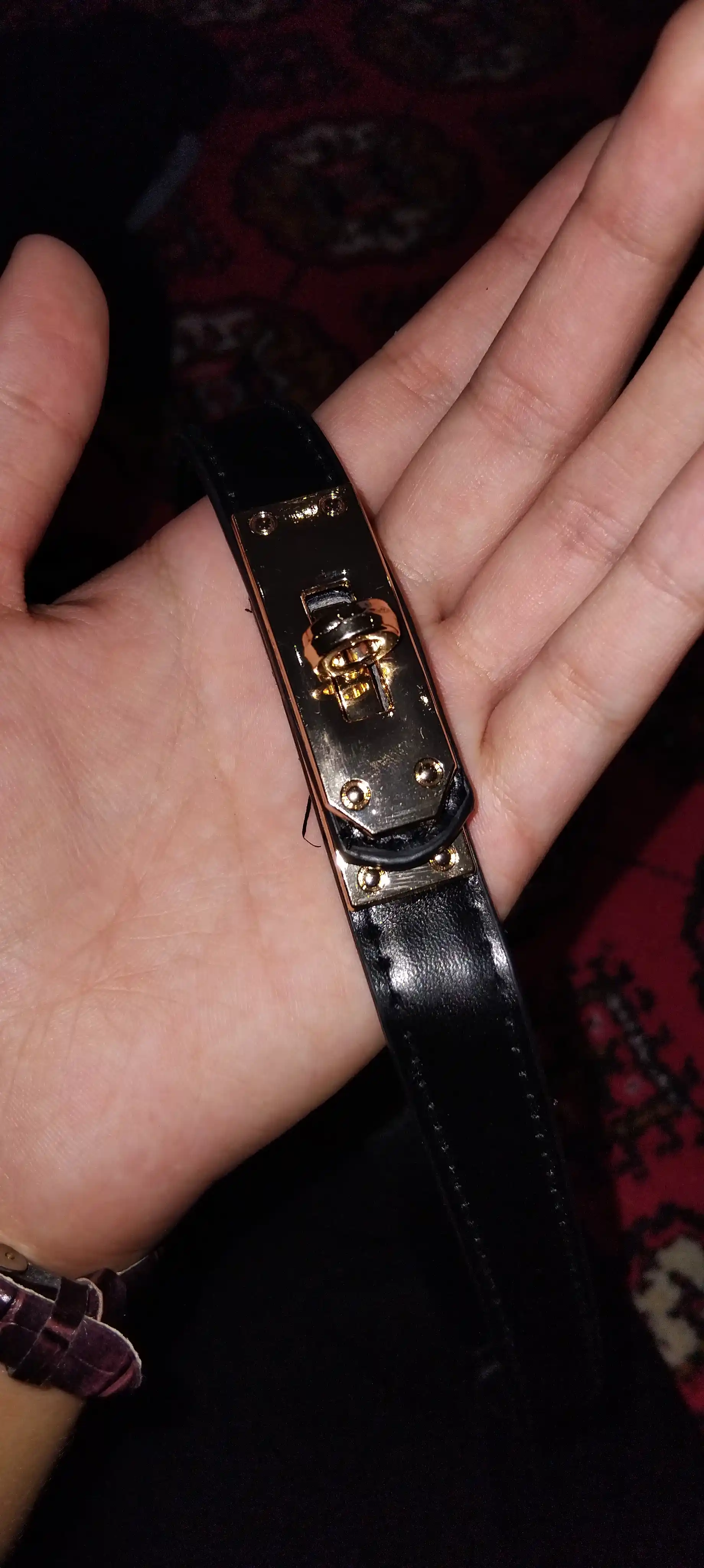 Ayollar kamari, HERMES, turli ranglarda