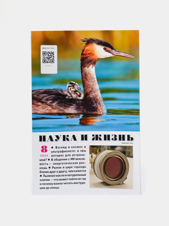 Fan va hayot - 